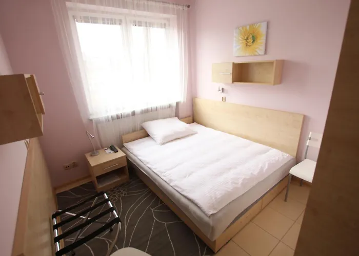 Standard Delegacyjny 3* Dabrowa Gornicza