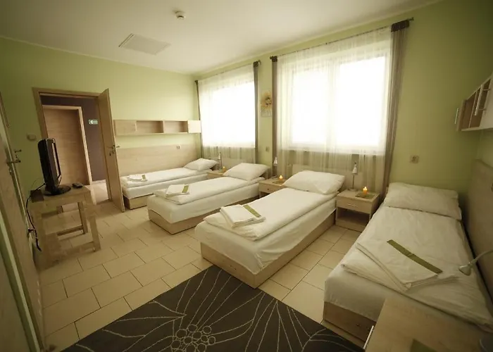 Bed and breakfast Standard Delegacyjny